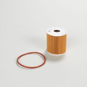 P502431